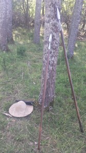 20140712_173023_Richtone(HDR)