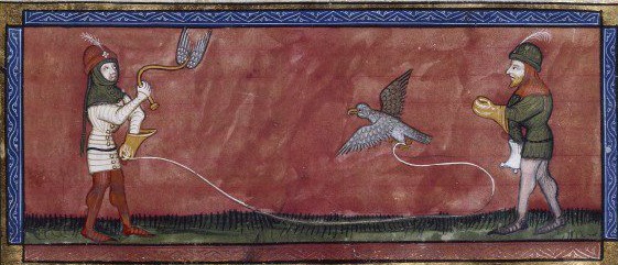 262486_10151399389777765_1276783617_n