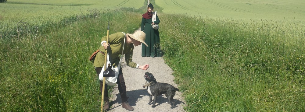 Exploring the medieval hunt