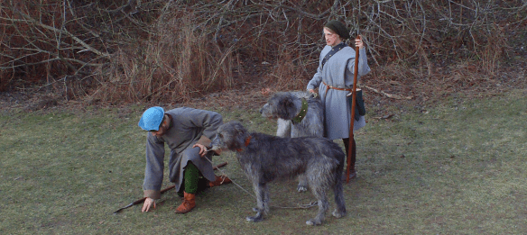 distance greyhunters