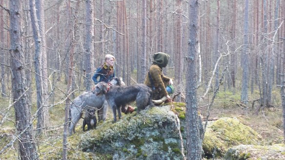 Spring Hunding Hunting for signs of spring | Exploring the medieval hunt