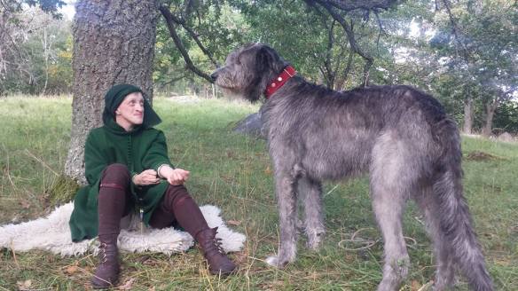 12049267_1041899552521974_4214658516203275861_n